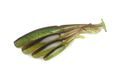Fox Rage Gumová nástraha Scent Shad Bulk Green Pumpkin