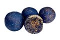 LK Baits Boilie Jeseter Special Boilies 1kg