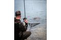 Fox Podběrák Eos-X Landing Net 6ft 42""