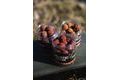 Magic Wolf Boilies obalované Mystic 130g