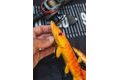 Fox Rage Gumová nástraha Ultra Realistic Replicant Pike Golden Pike