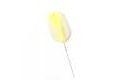 Wychwood Jehla Baiting Safety Needle