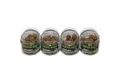 Carp Inferno Boosted Boilies Ocean 20mm 300ml