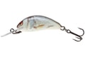 Salmo Wobler Hornet Floating 5cm