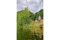 Zebco Prut Trophy X Tele Float 4m 5-35g