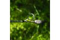 Vagner Prut Origin V-Belly S 1,6m 300g