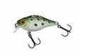 Berkley Wobler Pulse Fry Shallow 3,8cm