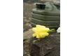 Black Cat Kanystr Water Carrier 5l