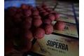 G.B.U. Boilies Superba