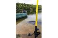 Black Cat Prut Black Passion G2 Bank 3m 600g