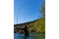 Fox Prut Eos Pro Rod 12ft 3,5lb 50mm 2díl