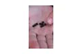Carp´R´Us Gumové koráliky Rubber Beads 6mm 10ks