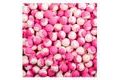 LK Baits Boilies DUO X-Tra 1kg