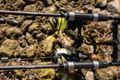 Giants fishing Kaprový prút XRS180 10ft 3.00lb 2diel