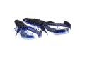 Westin Gumová nástraha CreCraw Creaturebait Black/Blue