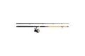 Mitchell Prut Catch Pro Catfish Combo 2,7m 100-300g