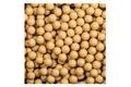 LK Baits Boilie Jeseter Special Boilies 1kg