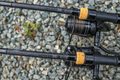 Fox Prut Horizon X3 10ft 3.50lb Full Cork Handle