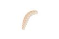 Berkley Vosí larva Powerbait Honey Worm 2,5cm - 55ks