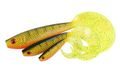 Fox Rage Gumová nástraha Pro Grub UV Natural Perch