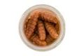Berkley Vosí larva Gulp! Honey Worm