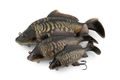 Fox Rage Gumová nástraha Ultra-Realistic Mirror Carp Replicant