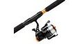 Mitchell Prut Catch Pro Catfish Combo 2,7m 100-300g