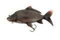Fox Rage Gumová nástraha Ultra-Realistic Common Carp Replicant