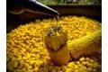 LK Baits Kukuřičné pelety Corn Pellets