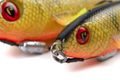 Fox Rage Gumová nástraha Super Slick Shad Loaded UV Natural Perch