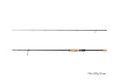 Delphin Prut RaveX 1,9m 30g