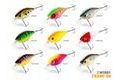 Delphin Wobler Wobby Crank-SH 5cm 8g
