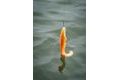 Fox Rage Gumová nástraha Ultra Realistic Replicant Catfish Golden Wels
