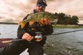 Abu Garcia Naviják Revo 5 X VoltiQ Low Profile VIQ