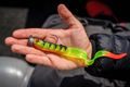 Fox Rage Gumová nástraha Slick Eel UV Perch