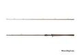 Delphin Prut Quest B´Cast 195cm 125g