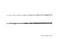 Delphin Prut Hazard Darx 2,55m 500g