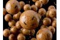 Delphin Boilies v dipe BreaX/NutCAKE Tigrí orech-Scopex-Kukurica 200ml