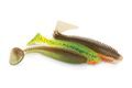 Fox Rage Gumová nástraha Spikey Shad 9cm