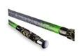 Zfish Prut Catfish Fighter 2,85m 100-300g