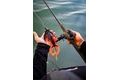 Savage Gear Gumová nástraha Mutant Rat SS Black Red