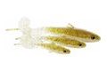 Westin Gumová nástraha Bullteez Curltail Bass Orange