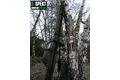 R-Spekt Pouzdro na 2 pruty polstrované khaki Double LUX s kapsou 11´