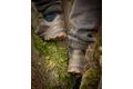 Fox Boty Explorer trainer