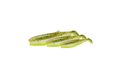 Savage Gear Gumová Nástraha Cannibal Shad Green Pearl Yellow 2ks