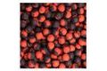 LK Baits Boilies DUO X-Tra 1kg