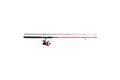 Mitchell Prut Catch Pro Spin Combo 2,4m 10-30g