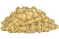 Sensas Pelety Prima Baby Corn Pellet 20kg
