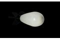 LK Baits Zakrmovacia raketa Spyder Spod Night Glow