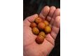Chytil Master Carp Boilies 20mm 250g